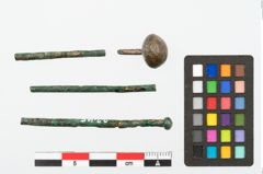 Foto von Bronzekugelkopfnadael (NHMW-PRAE-002245)